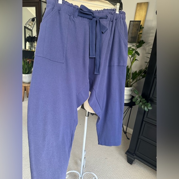 Free People Beach cropped pants, size large - Picture 3 of 15